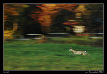 Motion