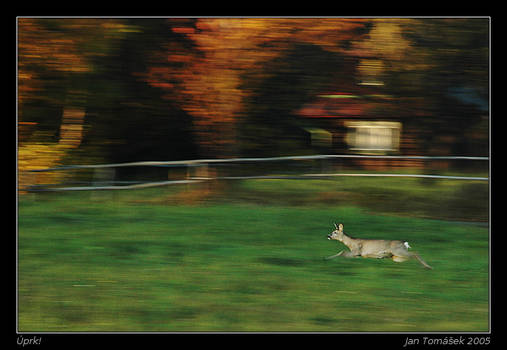 Motion