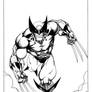 Wolverine inked