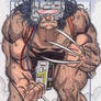 MU Weapon X