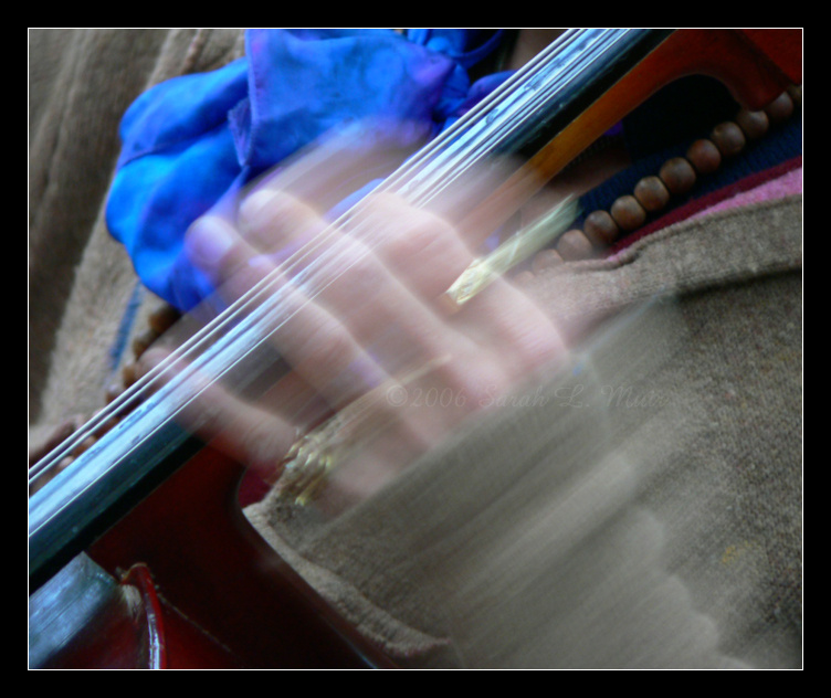 Hands of a Musician