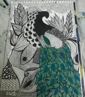 Peacock zentangle