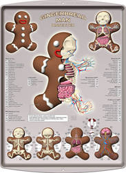 Gingerbread Man Dissected