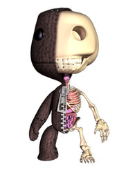 Sackboy Anatomy Spin by freeny