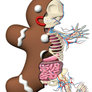 Gingerbread Man Anatomy Spin