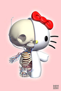 Hello Kitty Anatomy iPhone