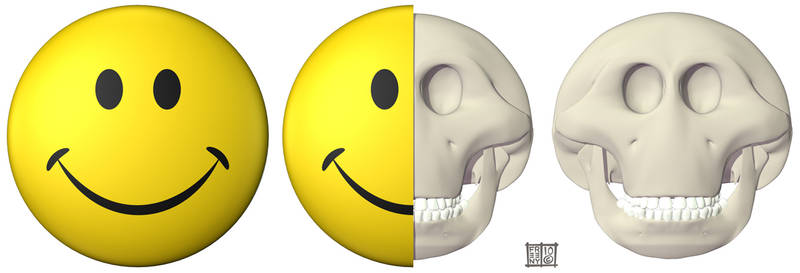 Smiley Skull