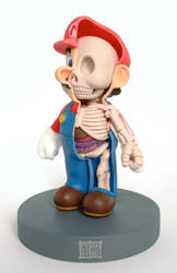 Mario Anatomy Sculpt Model by freeny