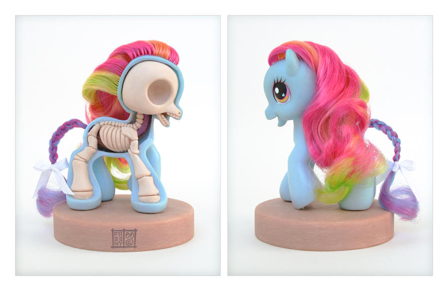 My Little Pony Anatomy Sculpt