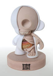 Munny Dissection