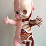 Giant Kewpie Anatomy Sculpt