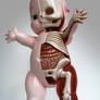 22' Kewpie Dissection sculpt LA