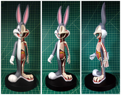 Bugs Bunny Dissection