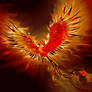 Pheonix