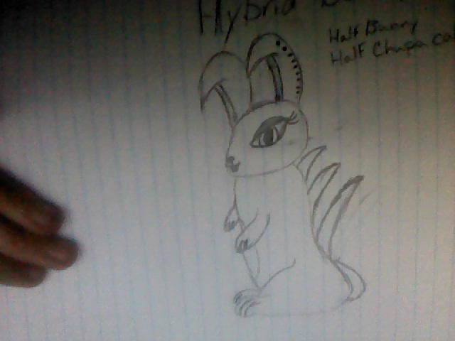 Hybrid bunny by AxelLover4life on DeviantArt