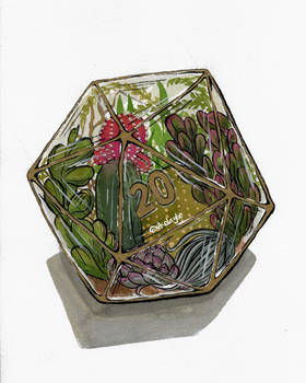 D20 Terrarium