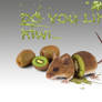 Kiwi mouse