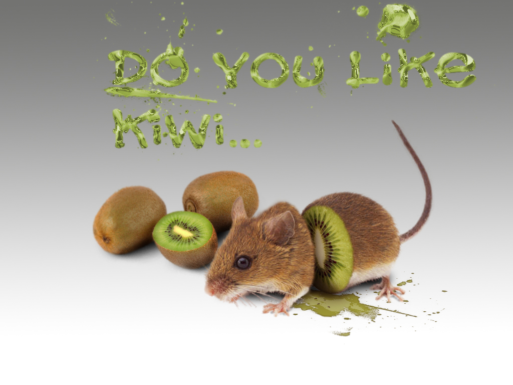 Kiwi mouse