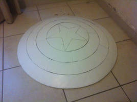 CA Shield before paint