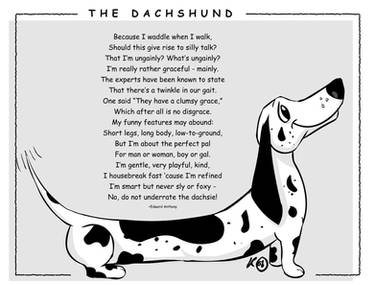 The Dachshund