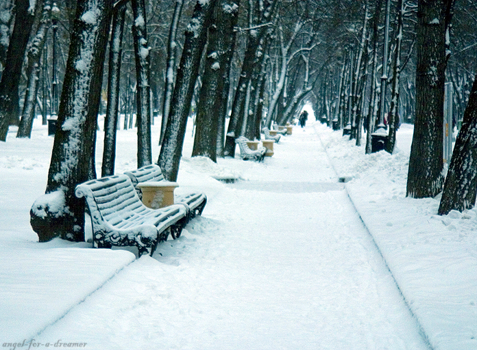 Snow in Moscow