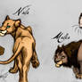 Random Lion sketches