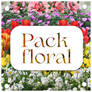 Pack Floral pngs