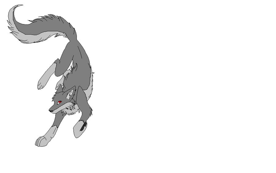 Sharp Wolf Reference Sharp by sharppiratewolf2 on DeviantArt