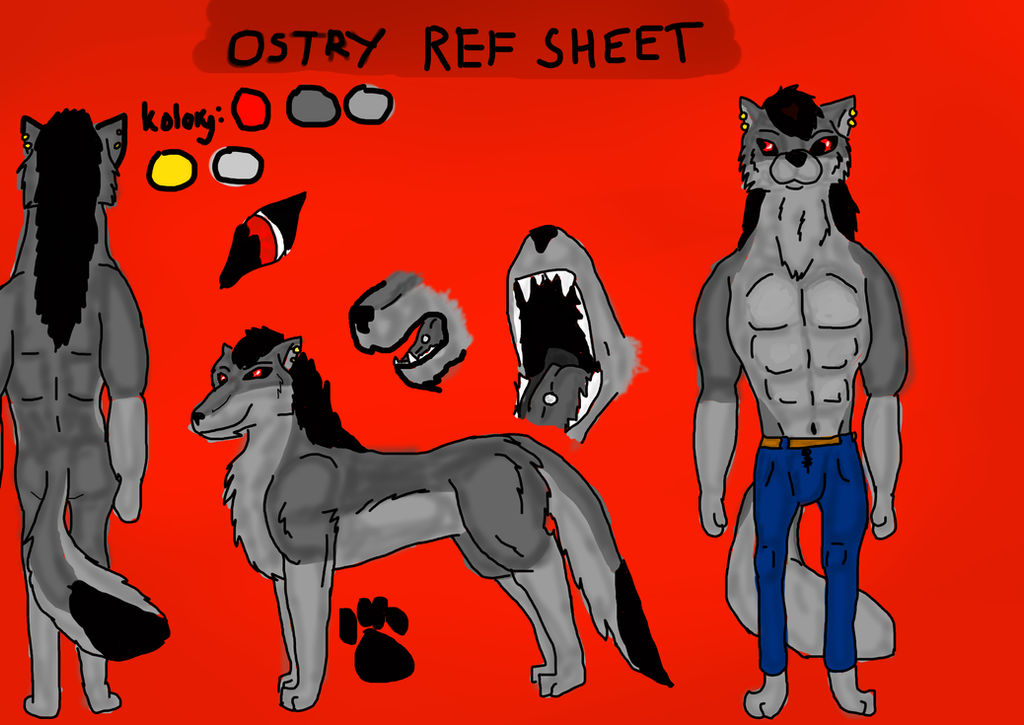 Sharp Wolf Reference Sharp Ref (CZYTAJ OPIS) by sharppiratewolf2 on DeviantArt
