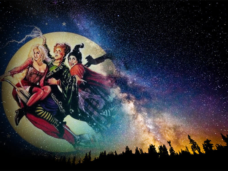 Hocus Pocus Wallpaper 4 by weissdrum on DeviantArt