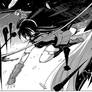 Akame Vs Esdeath An Opening
