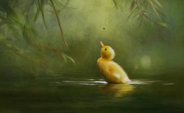 Duckling and fly