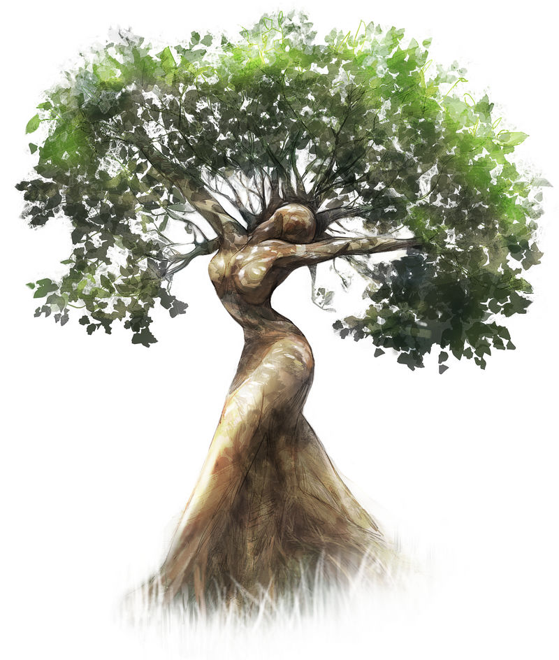 Woman Transform Tree Woman Tree (Redraw) by Rachpunzel on DeviantArt