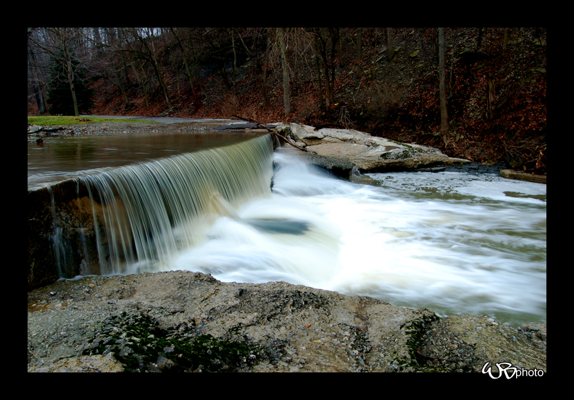 Lodi Park 1