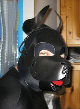 homme-chien1-PetBoy