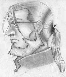 Van Hohenheim