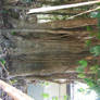 Tree Stock
