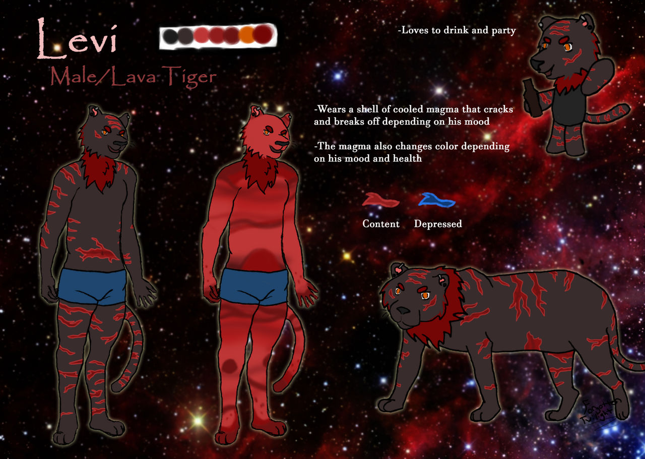 Levi Reference Sheet