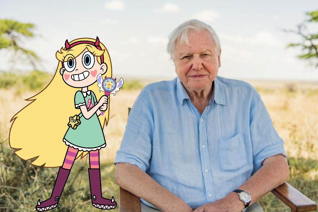 Captivating Butterfly Release For Sir David Attenborough's 100th Birthday Scene in 4K Captivating Butterfly Release For Sir David Attenborough's 100th Birthday Scene in 4K