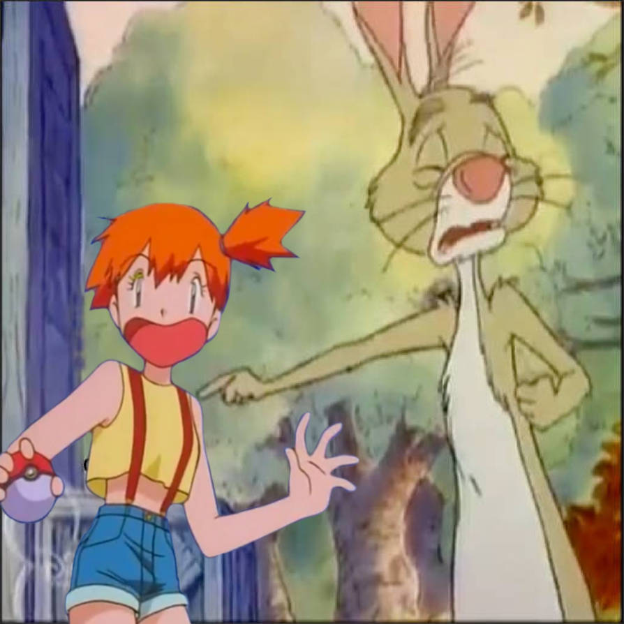 Rabbit Accues Misty by StoneKieran07 on DeviantArt