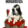 Aquarius - Metal Zodiac