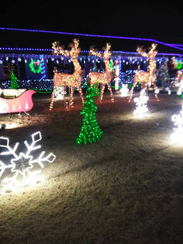 Lighted deer