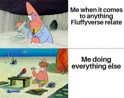 A meme or something