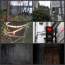 Random aesthetic moodboards - Ghetto cottagecore