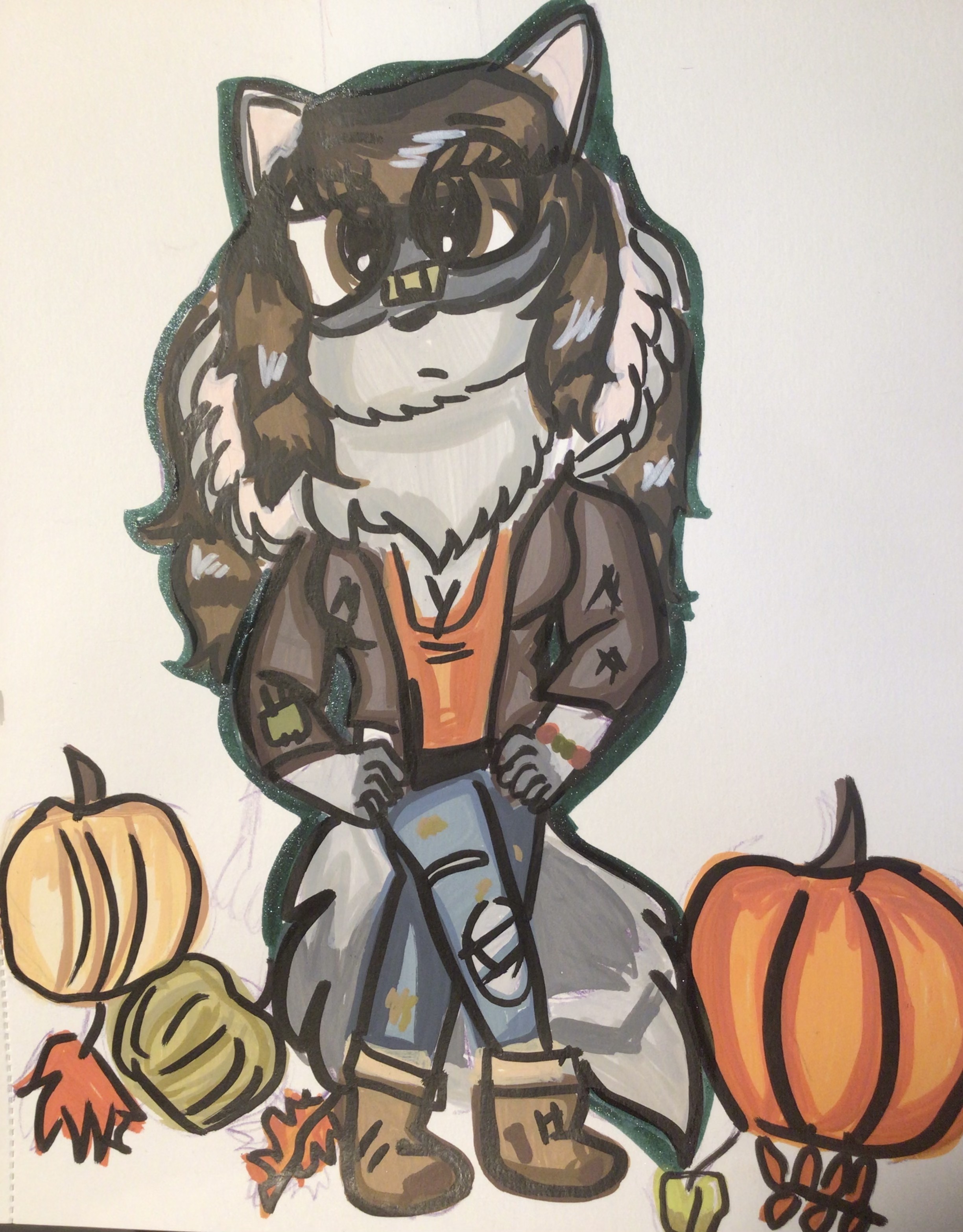 Raccoon girl fall