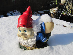 Cold enough to freeze a gnomes bum