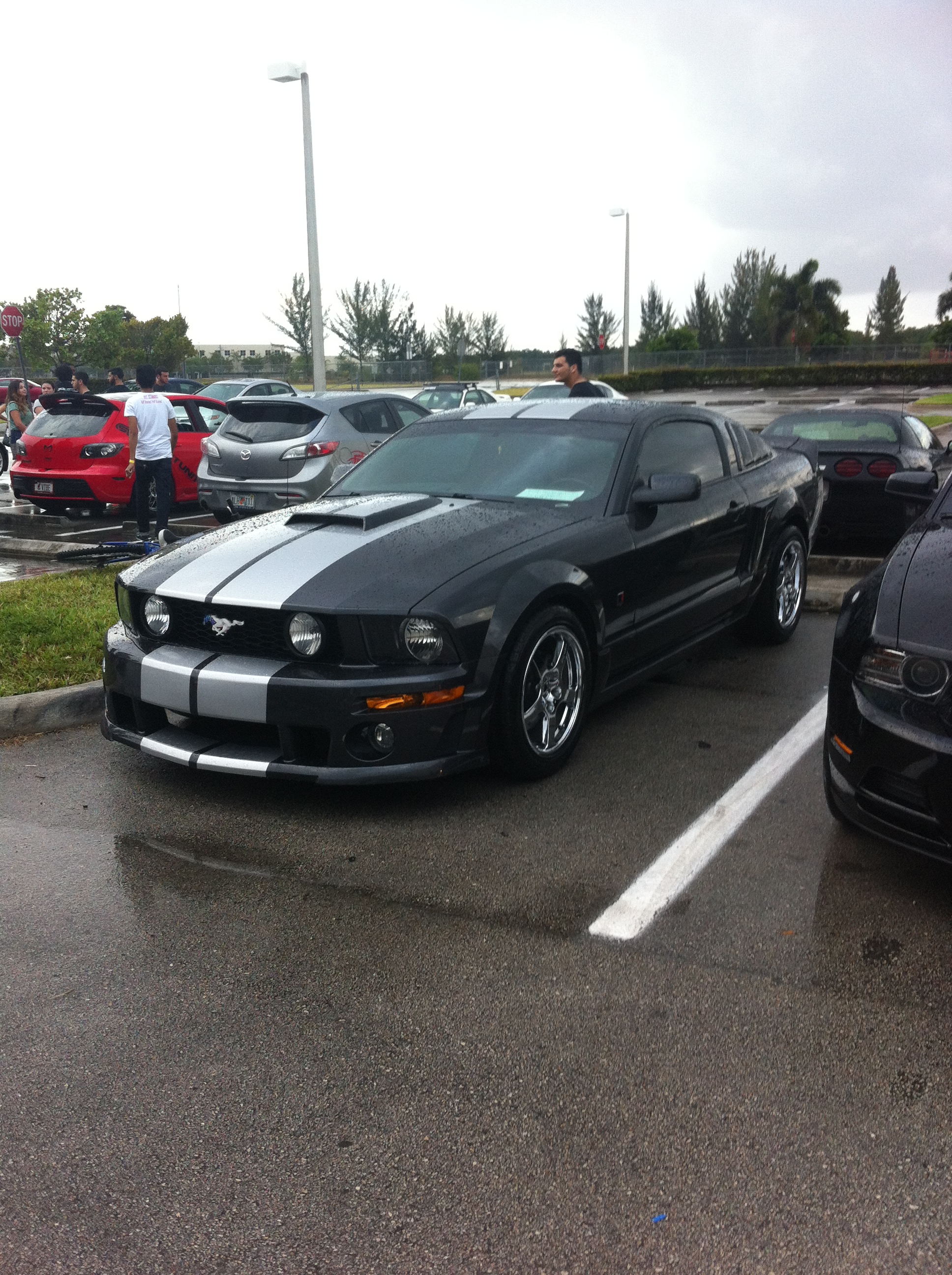 Ford Mustang GT Roush S197.