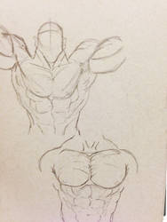 Anatomy Study: Chest