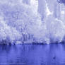 River Thames In Abingdon Blue Tint
