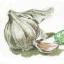 Garlic,